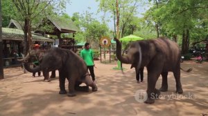 Таиланд природа