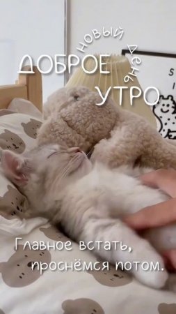Просыпайтесь