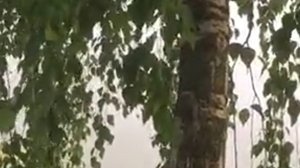 Истории из жизни. Испытания на пути к мечте. Аудио рассказы, Жизненные истории слушать