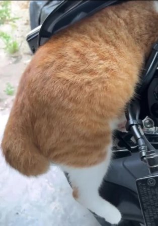 Подпишись 👉 https://vk.com/ykrasheniy_iz_kamny