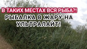 Одна вертушка делала чудеса а жару! Ловля окуня на ультралайт! Именно эта вертушка ловила отлично!