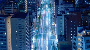 InShot_20241112_002811970