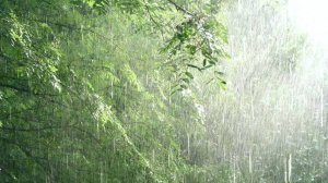 Тета-дождь - легкое засыпание под звуки дождя