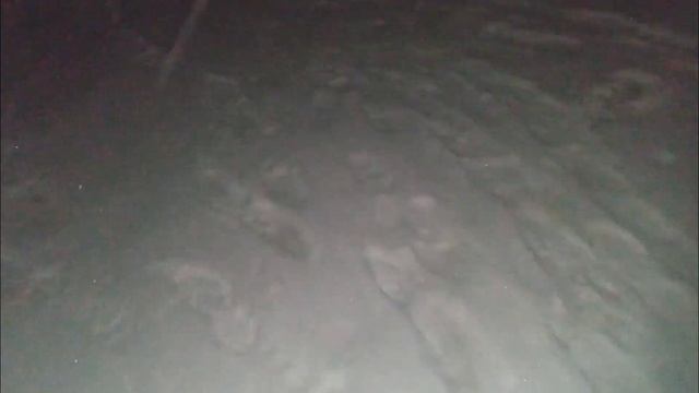 С новым годом друзья