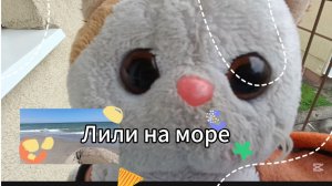Лили на море