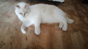 Владик:22 Я у друга в гостяx приятного прасмотра дарогие братишки