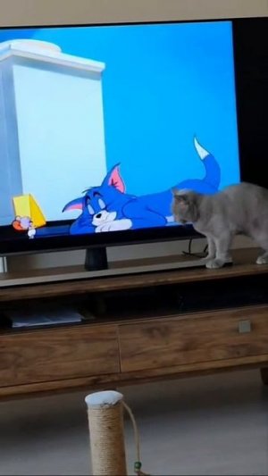Доказательство, что зевота заразна