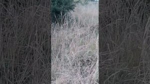 Крутой спуск (подъём) к морю!