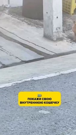 1000149072.mp4