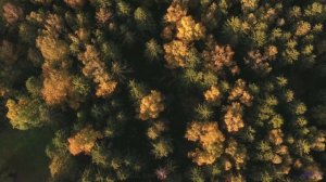 Природа, увиденная через квантовую пену пространства-времени - технологии раскрывают фундамент реаль