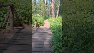 Поездка на Бердские скалы, водопад Бучило и Беловский водопад.