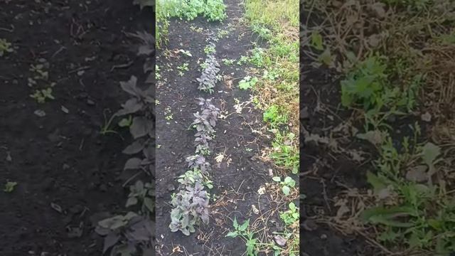 Приятного просмотра, пожалуйста подпишитесь