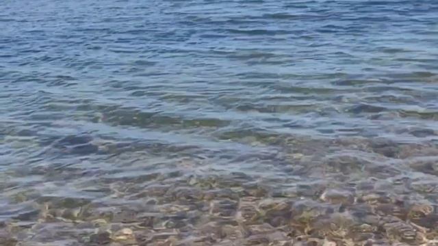 Азовское море