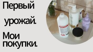 13-07-2025 Первый урожай.Мои покупки.