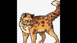 моё мнение о персах кв. +факты+советы+любимые племена