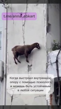 Воскресный юмор