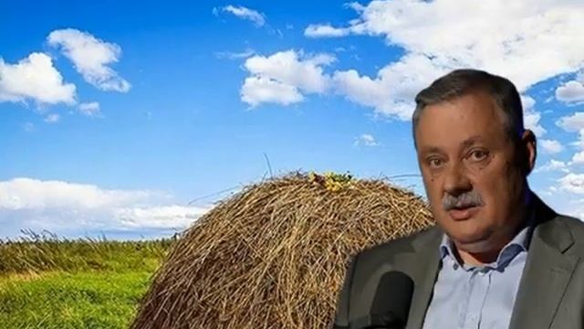 Дмитрий Евстафьев. Oбзор по состоянию дел