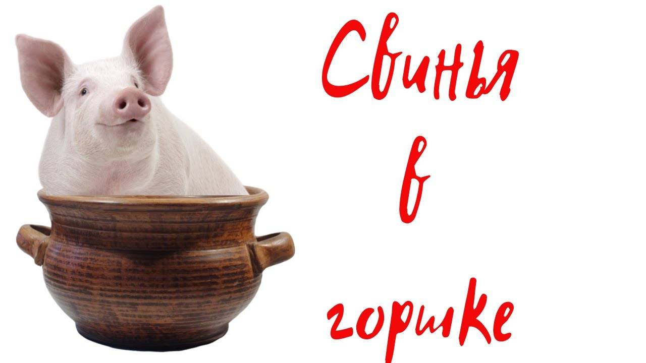 Я тоже умею. Свинина в горшочке. #сезонконтентаRUTUBE