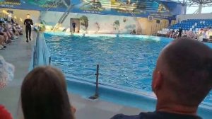 Дельфинарий в Голубицкой Темрюкский район Краснодарского края на берегу Азовского моря