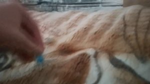 Амнямания Серия 5 Моя Озвучка.