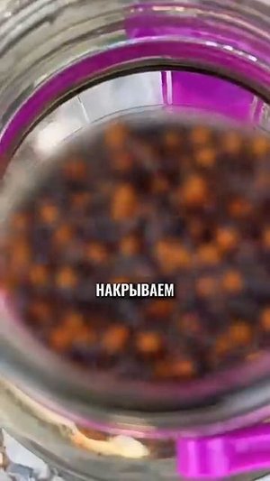 Самогон из Шершня!