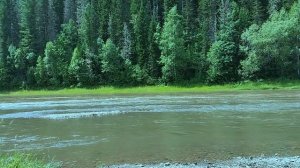 На горной реке. Течение реки. Река уносящая печали.