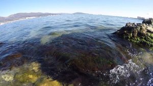 Красивые камни в море!