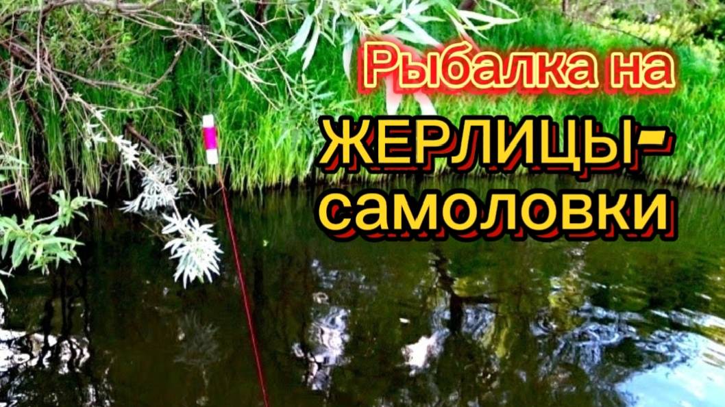Рыбалка на ЖЕРЛИЦЫ-САМОЛОВКИ. Проверка после ночи