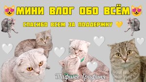 😻Все обо всём 😻И всего по чуть-чуть😉#сезонконтентаRUTUBE