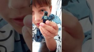 турнирная боевая арена