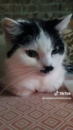 Любительница пирожков...)))
