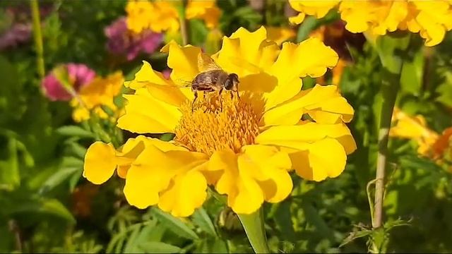 Лето☀️