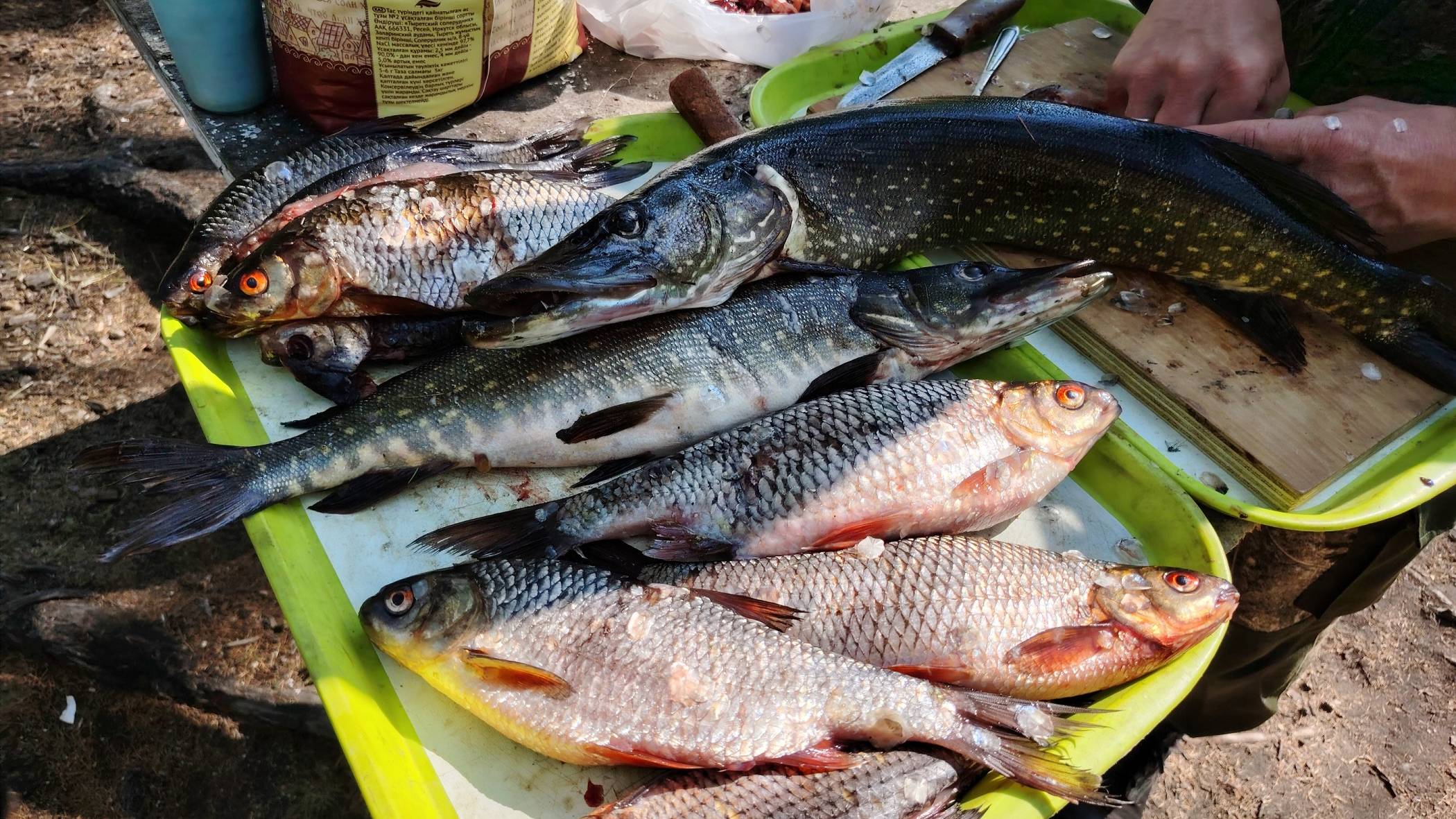 Желідегі гей порно видео Анамның порно әңгімелеріңізді аузыңызға алыңыз