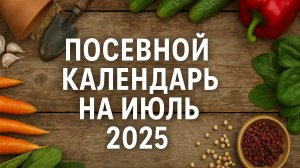 Подробный ПОСЕВНОЙ КАЛЕНДАРЬ НА ИЮЛЬ 2025. Что посеять в июле по лунному календарю