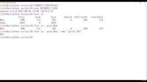013 Command Substitution