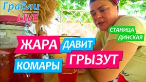 948 серия 11-13.07.25  Жара давит Комары грызут / Жизнь в станице Динская после переезда на Юг