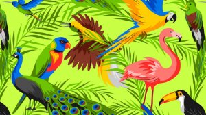 Экзотические птицы