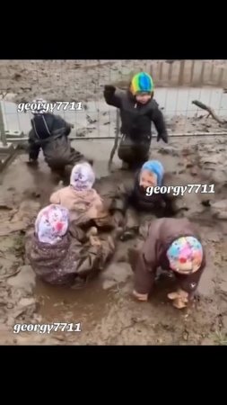 Животные приколы и не только