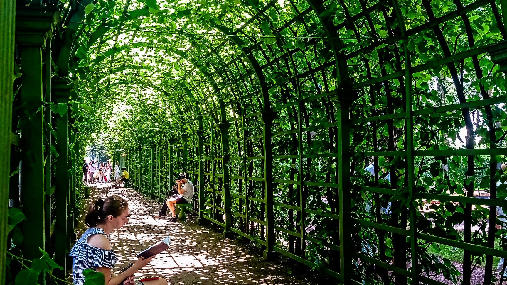 Жаркий день в Летнем саду. смотреть онлайн