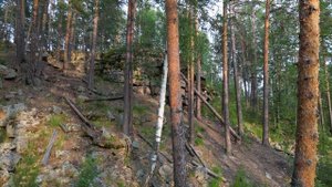 Сорочьи скалы