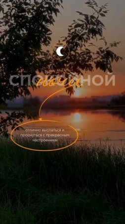 Спокойной ночи