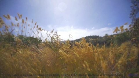 Смотреть видео онлайн