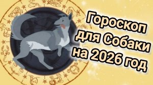 ГОРОСКОП ДЛЯ СОБАК НА 2026 ГОД | 2026 ГОД КРАСНОЙ ОГНЕННОЙ ЛОШАДИ |ВОСТОЧНЫЙ ГОРОСКОП ДЛЯ СОБАКИ