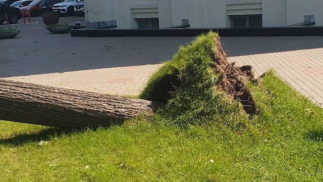 Последствия стихии 3 смотреть онлайн