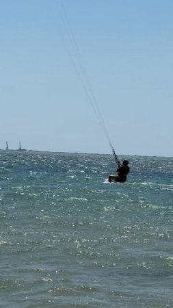 IMG_8662