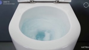 Презентация технологии PURE VORTEX в унитазах бренда Hatria