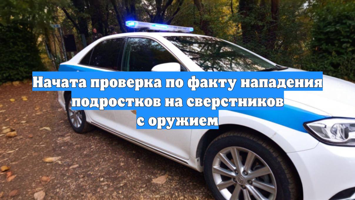 Начата проверка по факту нападения подростков на сверстников с оружием