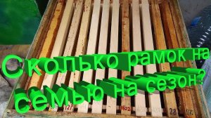 Сколько рамок нужно пчелиной семье на сезон? Важные советы от профессора Кашковского