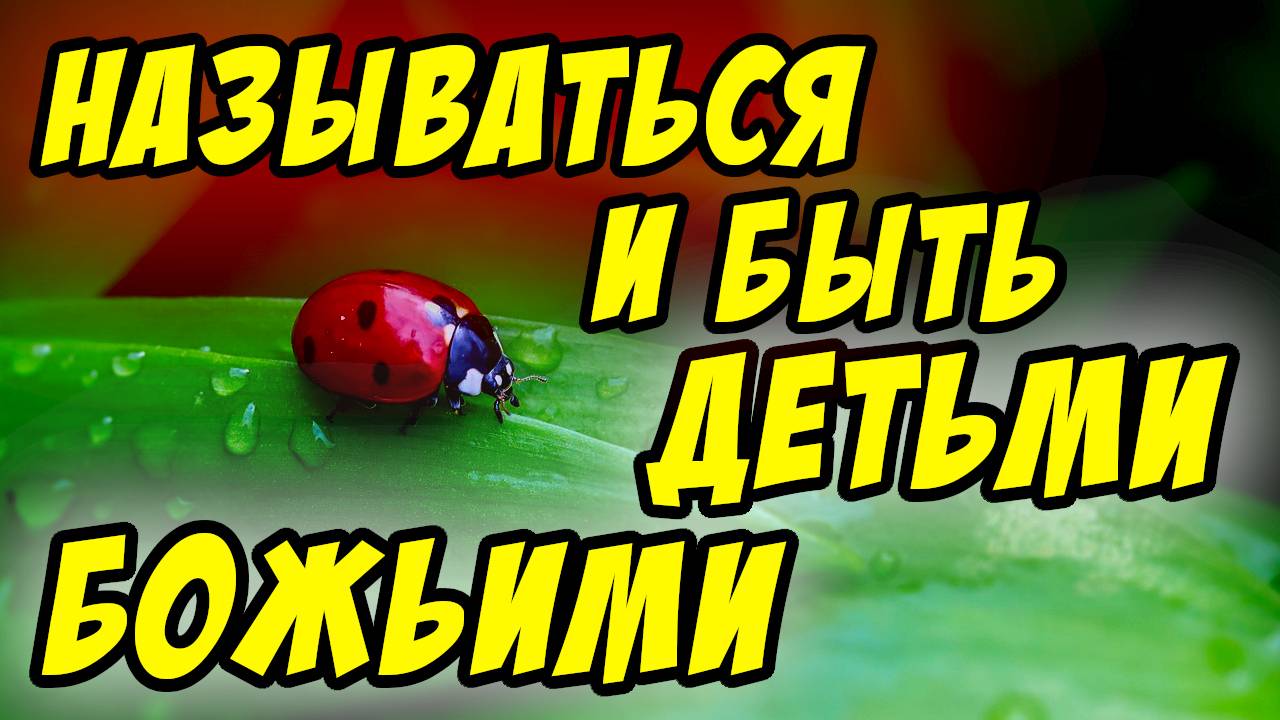 Называться и быть детьми Божьими - Василий Савич. Христианские проповеди