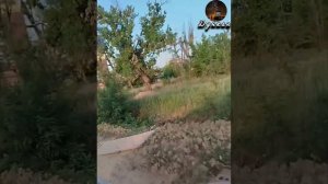 Сухой цветок. Пустой сосуд.